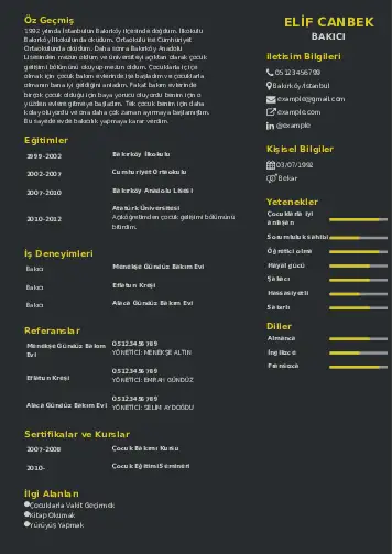 2023’te En Çok Tercih Edilecek CV Örnekleri cv indir